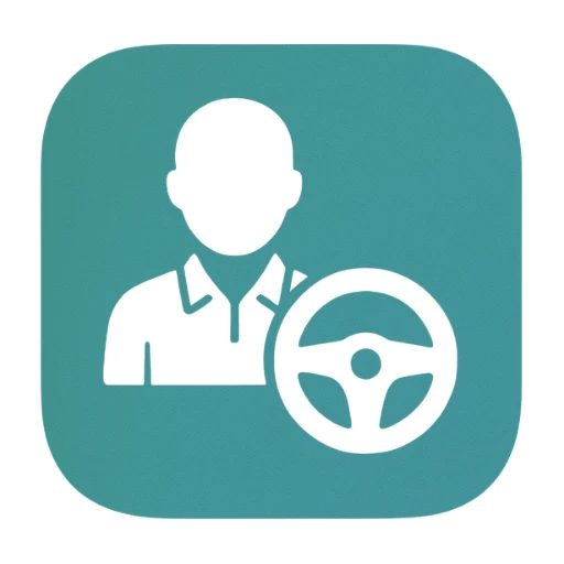 Driving Instructor snapshot logo
