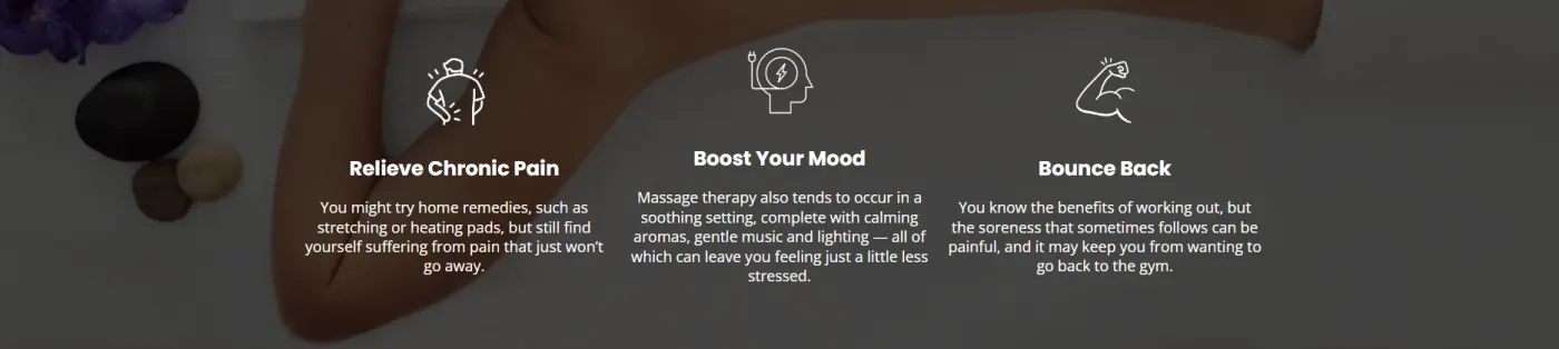 Massage Therapy snapshot screenshot