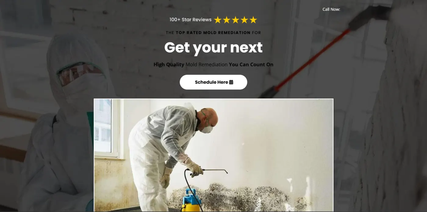 Mold Remediation snapshot screenshot